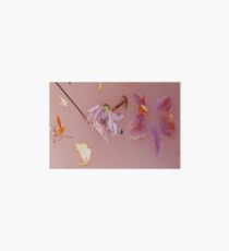 Lámina rígida Patrón floral rosa de Harry Styles