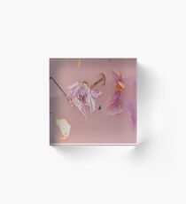 Harry Styles' Pink Floral Pattern Acrylic Block