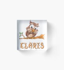 Claris Owl Acrylic Block
