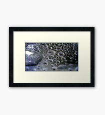 Liquid Platinum Framed Print