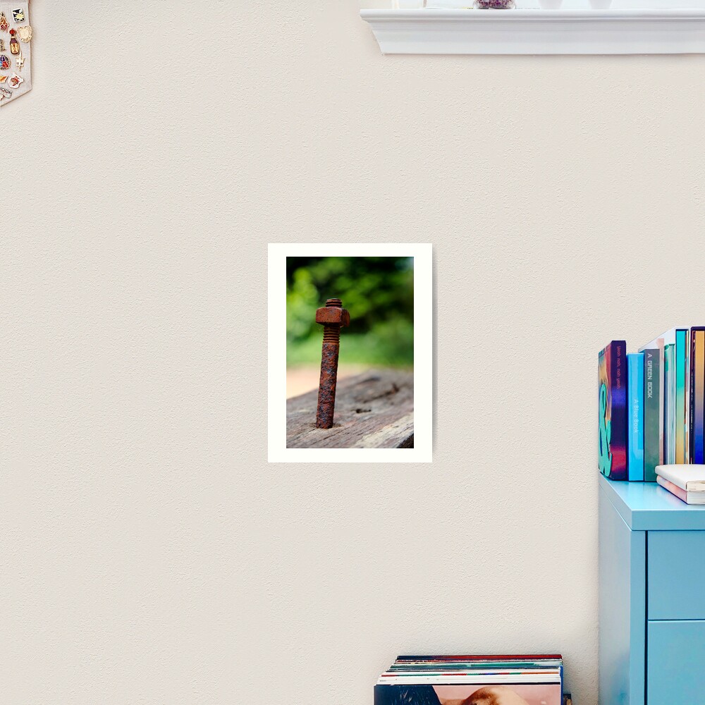 Nut & bolt Art Print