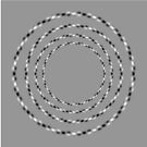 Optical Illusion, visual illusion, cognitive perception by znamenski