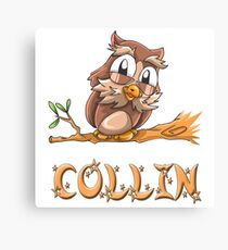Collin Owl Canvas Print
