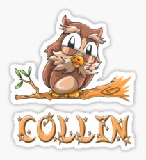 Collin Owl Sticker