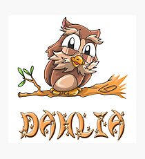 Dahlia Owl Photographic Print