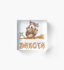 Dakota Owl Acrylic Block