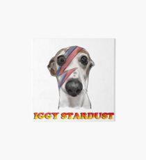 Iggy Stardust Italian greyhound as David Bowie Art Board
