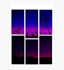 purple Photographic Print