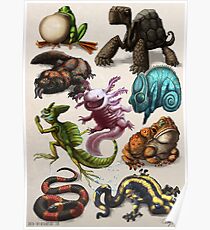 Reptiles & Amphibians Poster