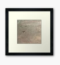 Birds Framed Print