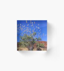 Flight Path Acrylic Block