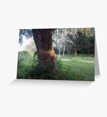 Clearing Greeting Card