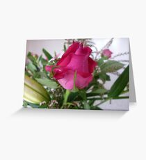 Rosebud - A beauty to unfold-Oct.2010, Spring Greeting Card