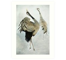 The Cranes Dance by Meg Howrey
