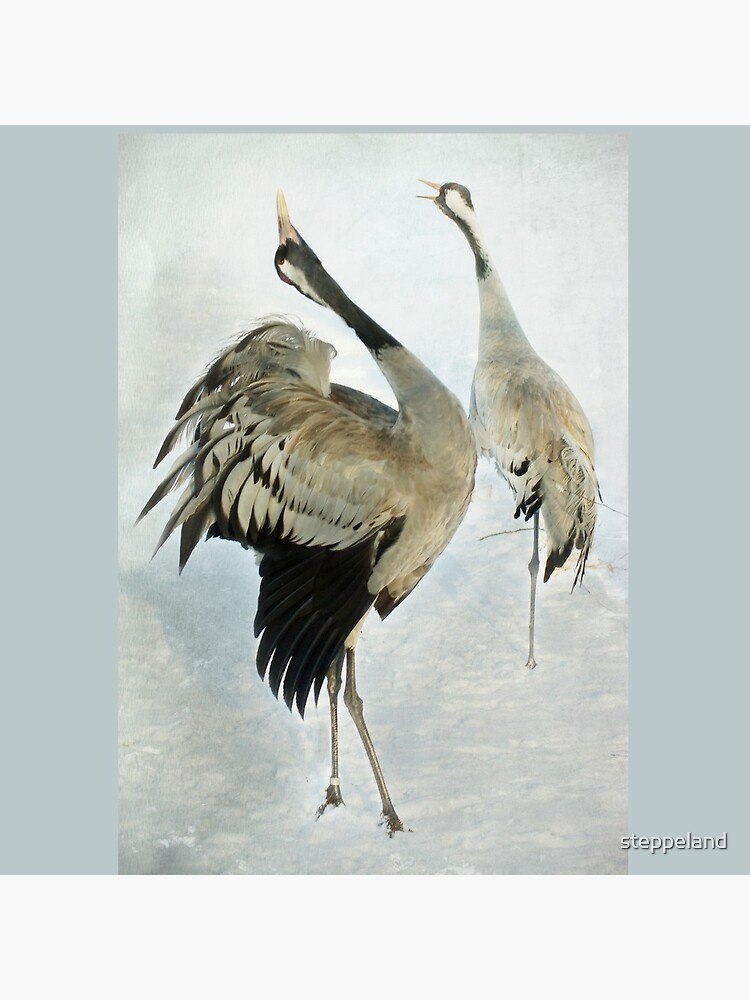 The Dance of the Cranes - 2 of 2 by steppeland
