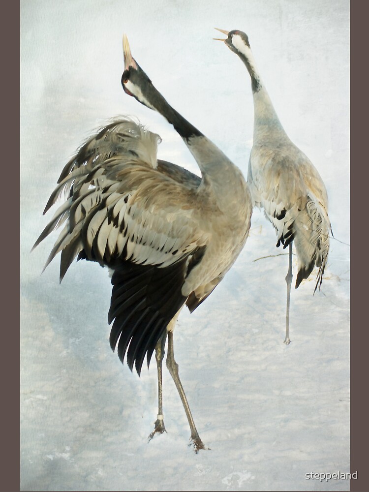 The Dance of the Cranes - 2 of 2 by steppeland