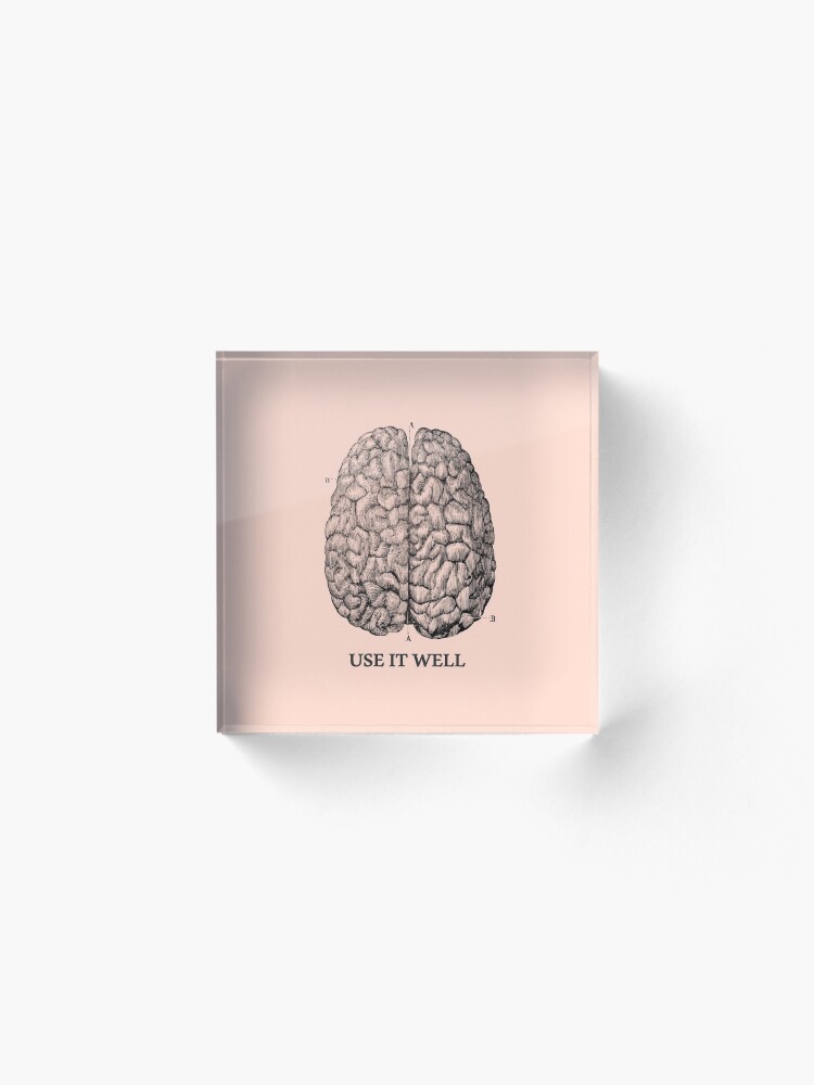 Alternate view of Use it well - Brain Acrylic Block