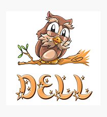 Dell Owl Photographic Print