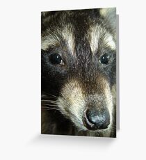 Beady Eyes Greeting Card