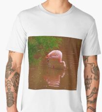 Chilean Flamingo Men's Premium T-Shirt