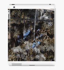 Blue Skies 003 iPad Case/Skin
