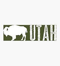 Bison: Utah Photographic Print