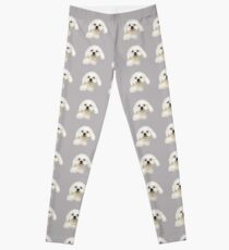 Maltese puppy Leggings