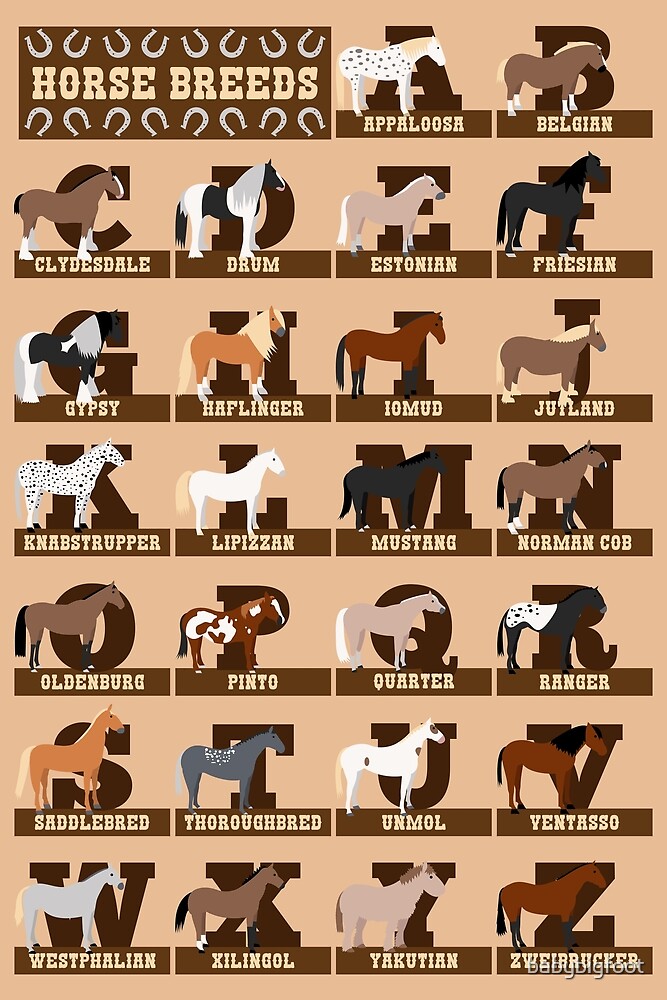 horse-breeds-alphabet-by-babybigfoot-redbubble