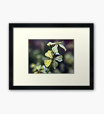 4 Lemon Petals Framed Print
