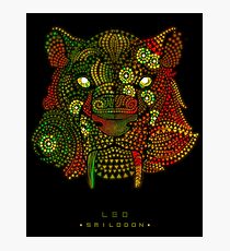 Leo - Smilodon Photographic Print