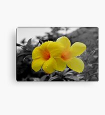 Touch of Color Metal Print