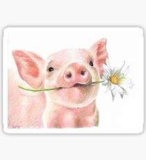 Cute Baby Pig with Daisy Flower Sticker