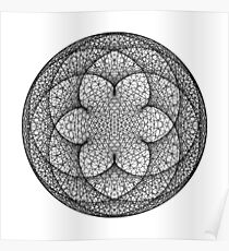 Cardiod Modulo n = 455 m = 500 Poster