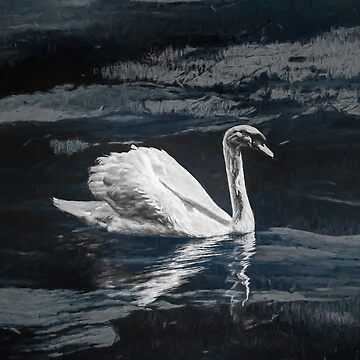 Artwork thumbnail, Swan in lake by Brian Vegas by BrianVegas