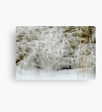 Snowstorm in Valserine forest Canvas Print