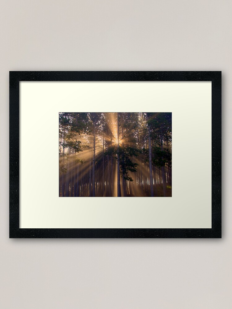 Alternate view of Truth Framed Art Print