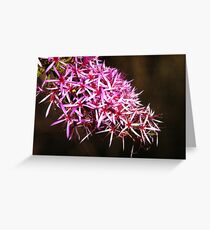 Turkey bush 2 Greeting Card