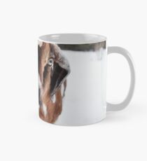 Taza Cabrito mirando hacia adelante