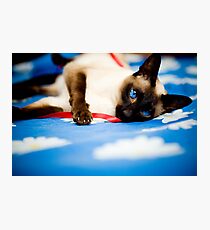 A Ribbon Photographic Print