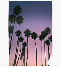 Palm Tree Poster
