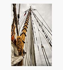 Looking Up Photographic Print