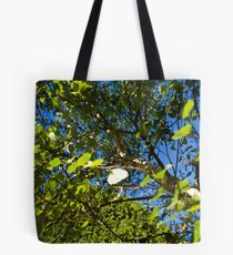 Through The Poplar. Tote Bag