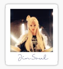 Jin Soul Polaroid Sticker