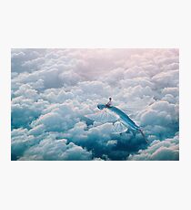 Plane Photographic Print