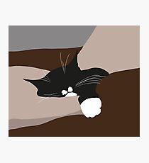 Katze schlafend auf Sessel Photographic Print