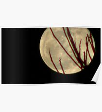 Moon Rise 009 Poster