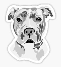 Pitbull Sticker