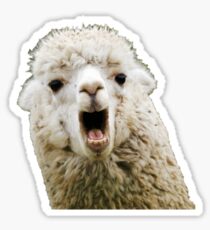 Llama Sticker