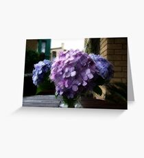 In a vase Greeting Card