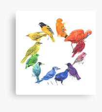 Vogelfarbrad Leinwanddruck